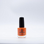 ESMALTE CNC 1173