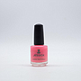 ESMALTE CNC 1111