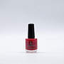 ESMALTE CNC 491